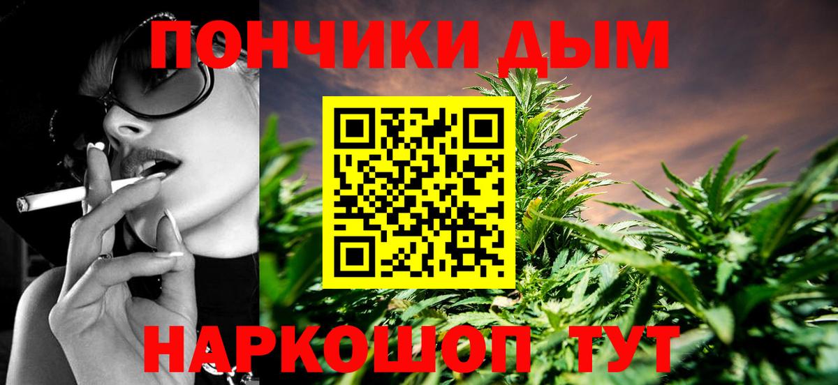 Каннабис сатива Гурьевск